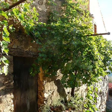 Apartman El Nido De La Collalba *