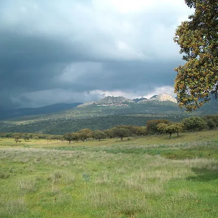 Apartman El Nido De La Collalba Cabañas del Castillo