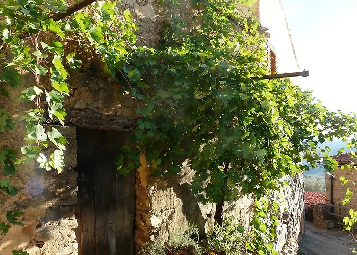 Apartment El Nido De La Collalba *