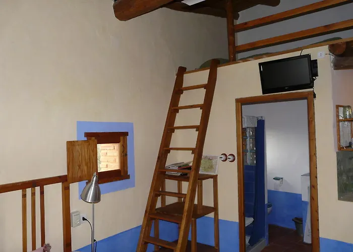 El Nido De La Collalba